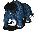102138-11.gif